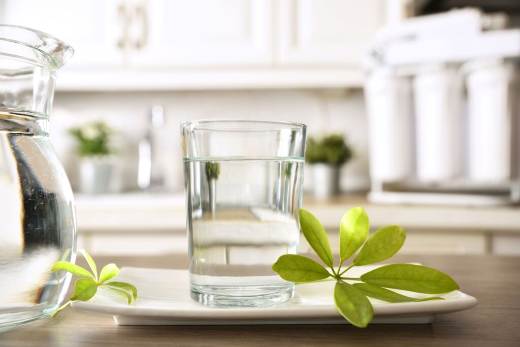 Ein Glas gefiltertes Wasser vor moderner Osmoseanlage in heller Küche mit grünem Blatt auf dem Tisch